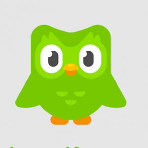 Duolingo Learn English